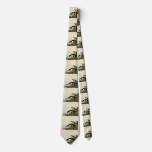 Westerna Anka från Audubon's Birds of America Slips