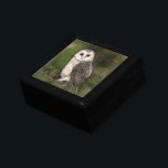 Westerna barn Uggla Gift Box Minnesask<br><div class="desc">Westerna Barn Uggla - Miged Watercolor Painting Art Benice Forest Bird</div>