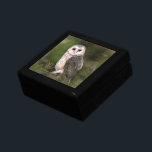 Westerna barn Uggla Gift Box Minnesask<br><div class="desc">Westerna Barn Uggla - Miged Watercolor Painting Art Benice Forest Bird</div>