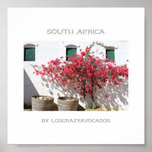 Westerna Cape Vin Farm Byggnad Cityscape Poster