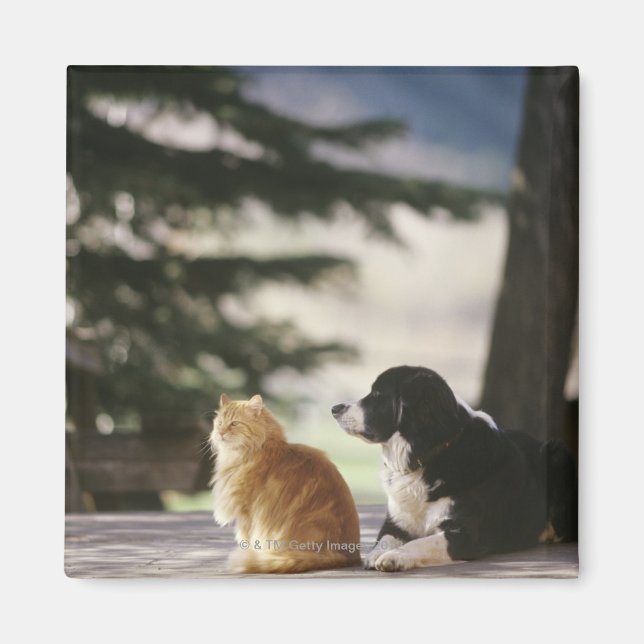 Westerna Colorado, USA Magnet (Framsidan)