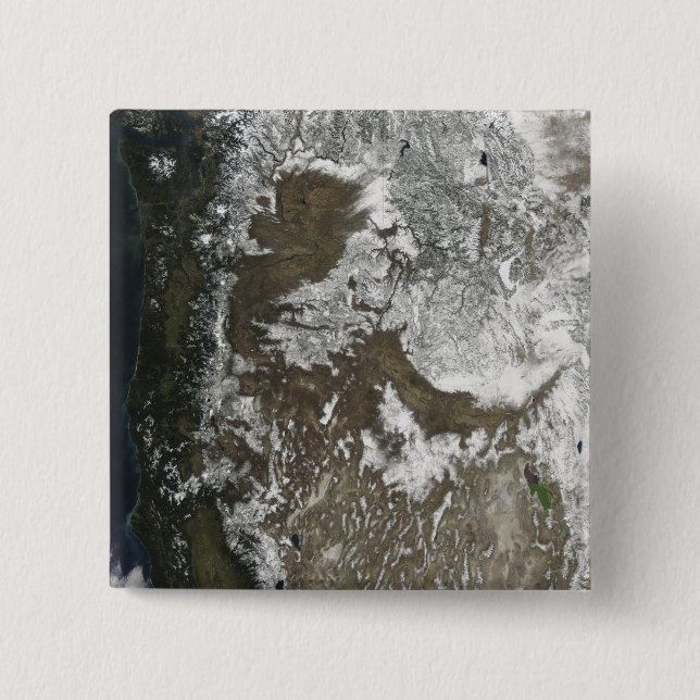 Westerna Förenade Stater Knapp (Framsida)