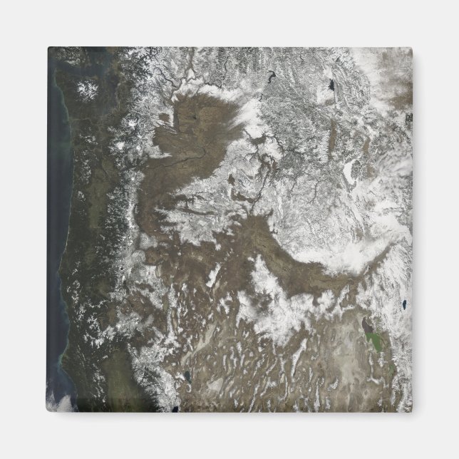 Westerna Förenade Stater Magnet (Framsidan)