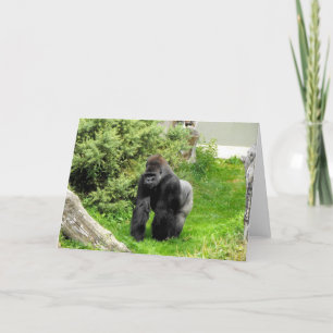 Westerna gorilla helgkort