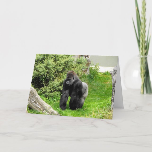 Westerna gorilla helgkort (Framsida)