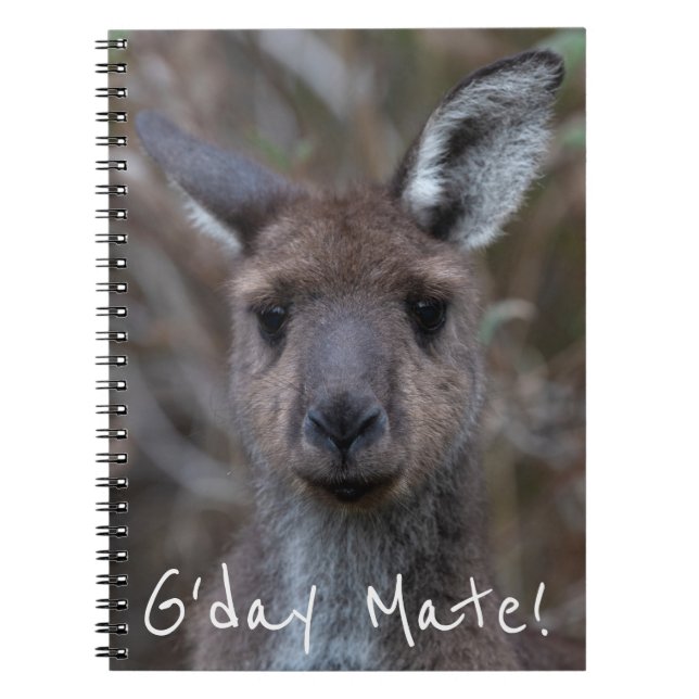 Westerna Grått Kangaroo Australien Anteckningsbok (Framsidan)