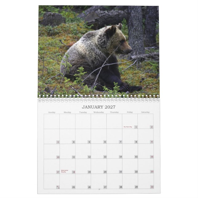 Westerna kanadensiska Grizzlybjörnar Kalender (Jan 2027)