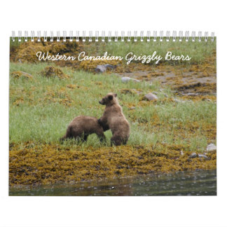Westerna kanadensiska Grizzlybjörnar Kalender