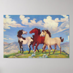 Westerna koponnyer poster