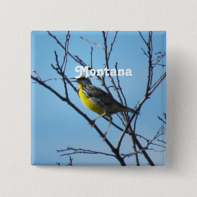 Westerna Meadowlark Knapp (Framsida)
