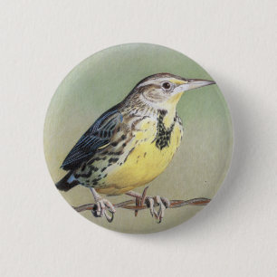 Westerna Meadowlark Knapp