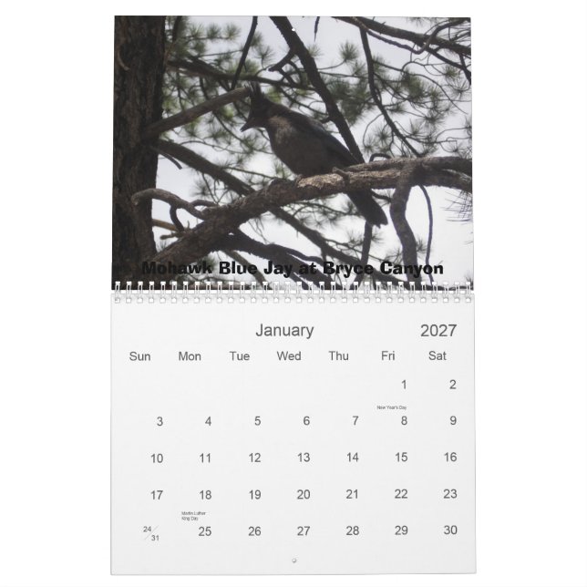 Westerna Parker Kalender (Jan 2027)