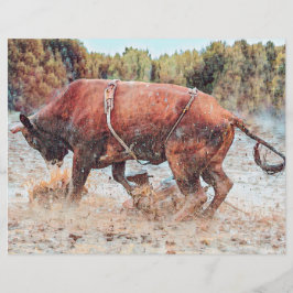 Westerna Rodeo Bull Land CowboyVintagen Rustic