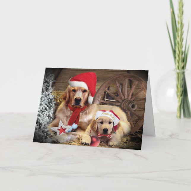 Westerna Stil (Golden Retriever) Helgkort (Framsida)