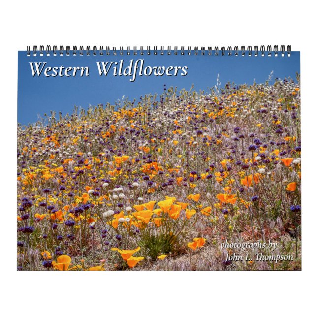 Westerna Wildblommor, 2023-kalender Kalender (Omslag)