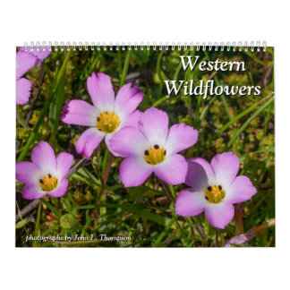 Westerna Wildblommor 2025 Kalender