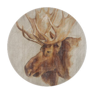 Westernare amerikansk djurstudie  Moose Porträtt