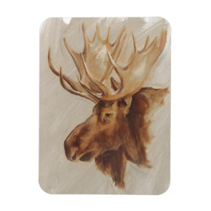 Westernare amerikansk djurstudie Moose Porträtt Magnet