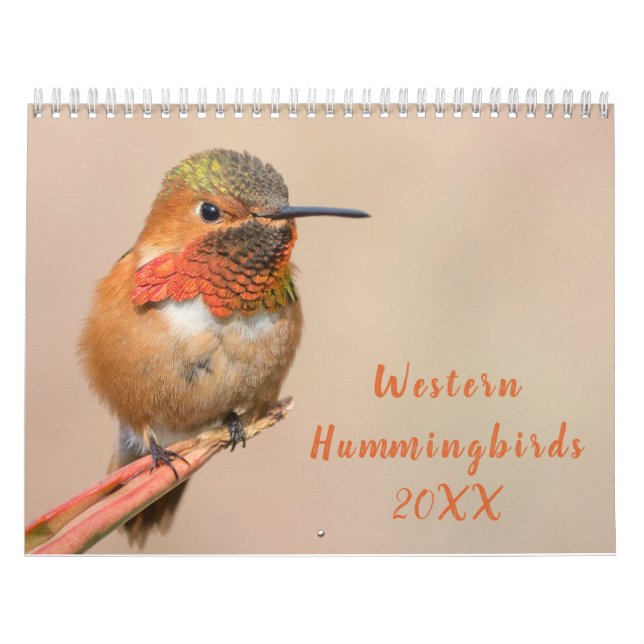 Westernare foto av Hummingbird Kalender (Omslag)