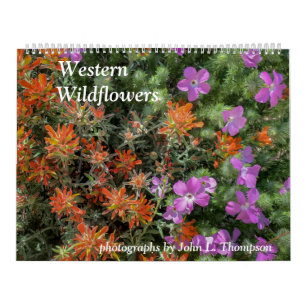 Westernare kalender för vilda blommor