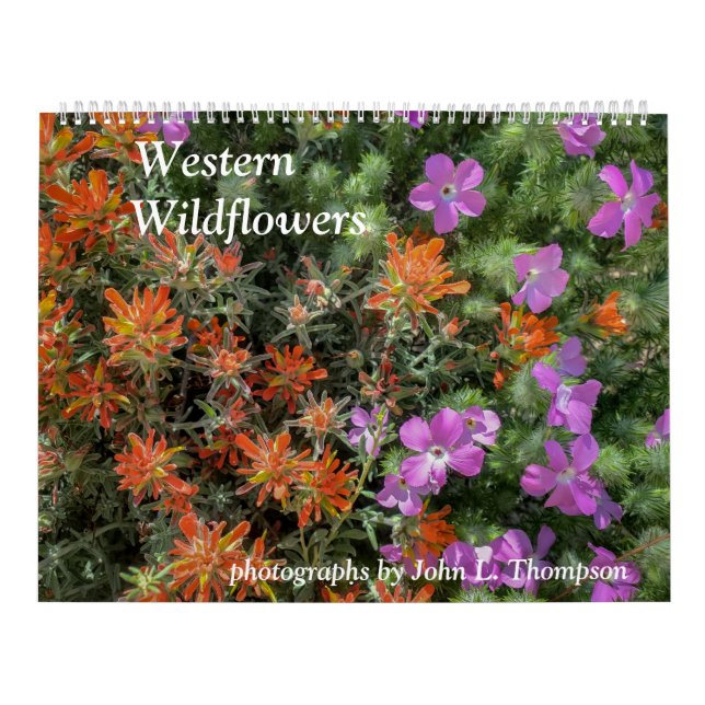 Westernare kalender för vilda blommor (Omslag)