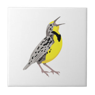 Westernare meadowlark kakelplatta