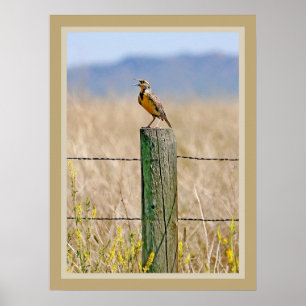 Westernare Meadowlark Poster