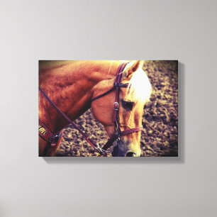 Westernare Palomino Canvastryck