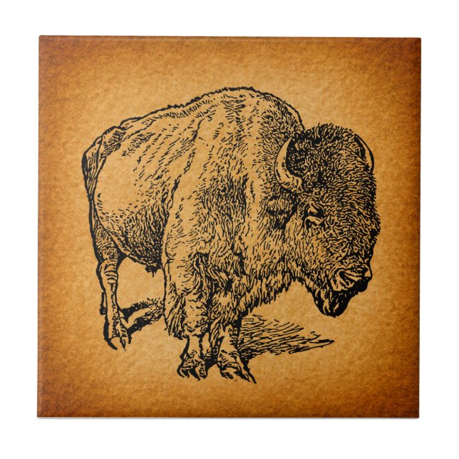 Westernare Vild Buffalo Bison Antique Art Kakelplatta (Framsidan)