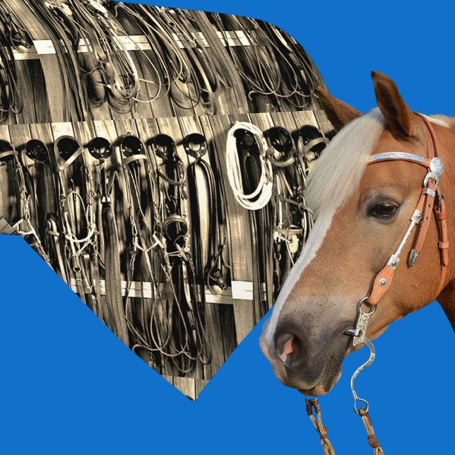 Westernt tack för rumsbroar Rope Print Necktie 2 Slips (Western necktie with tack room bridles and rope)