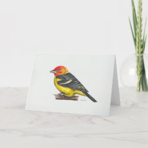 Westernt Tanager Art-kort Tack Kort