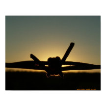 Westernt trådlöst Wasp