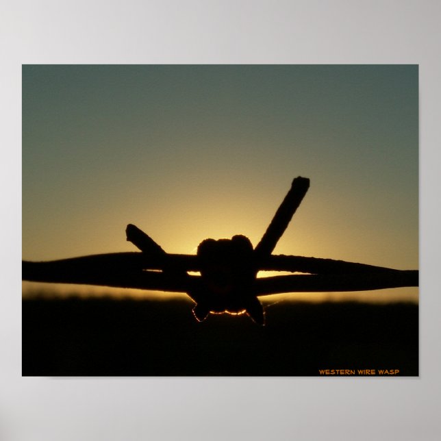 Westernt trådlöst Wasp Poster (Framsidan)