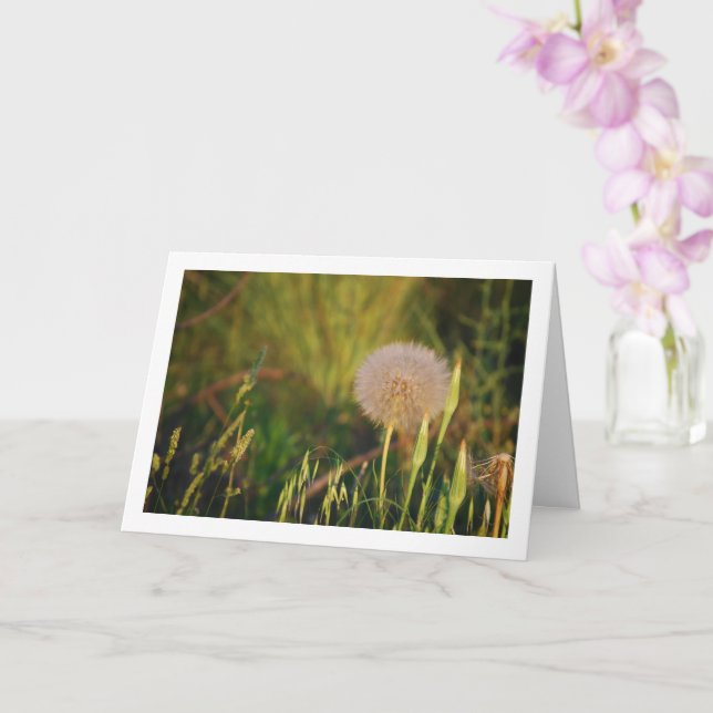 Westernt växtkort för salsifirot kort (Orkide)