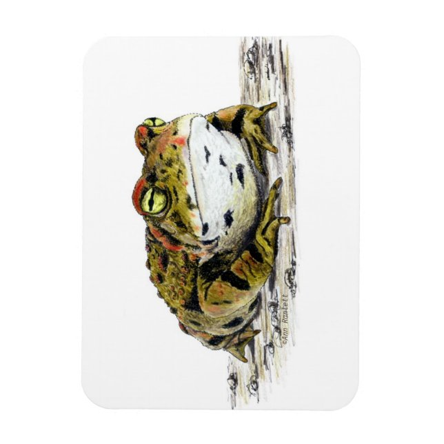 Westernt verktygslåda magnet (Vertikal)