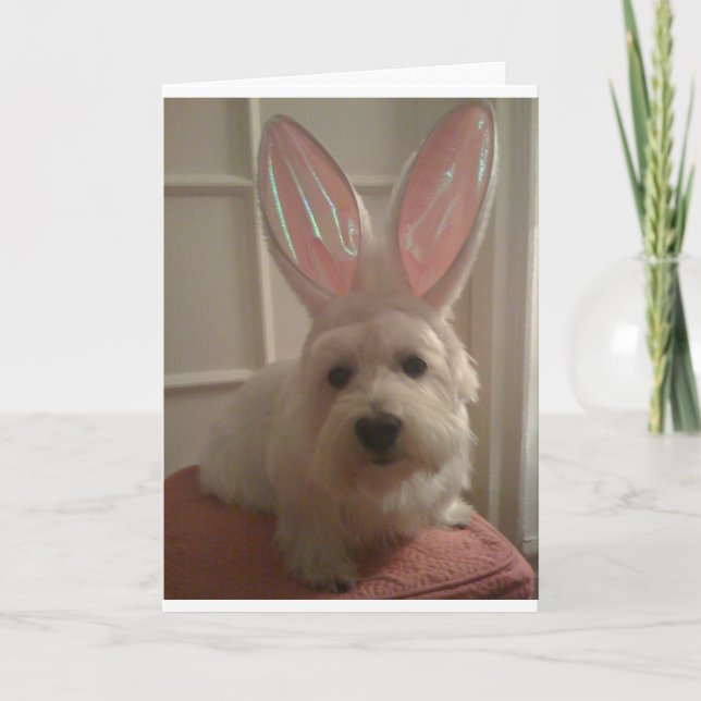 Westhighland Bunny Kort (Framsida)