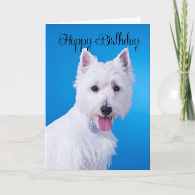 Westie Birthday Card Kort (Framsida)