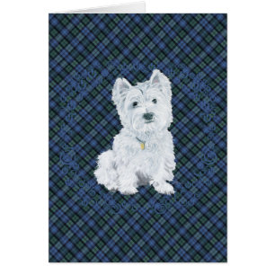 Westie Black Watch Tartan Hälsningskort