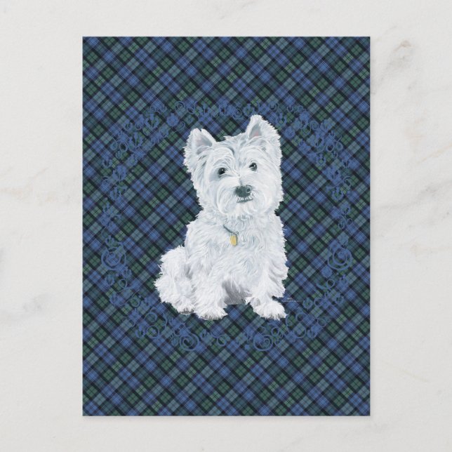 Westie Black Watch Tartan Vykort (Framsida)