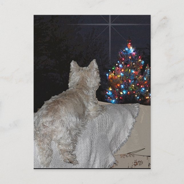 WESTIE CHRISTMAS AWE HELG VYKORT (Framsida)