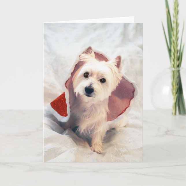 Westie Claus Helgkort (Framsida)