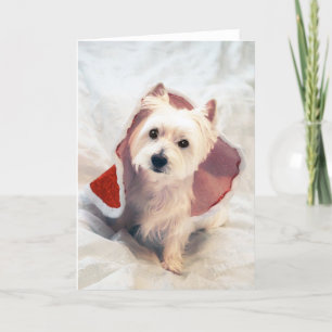 Westie Claus Helgkort