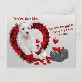 Westie Cute Du har Har Mail Puppy Hugs Valentine Helg Vykort