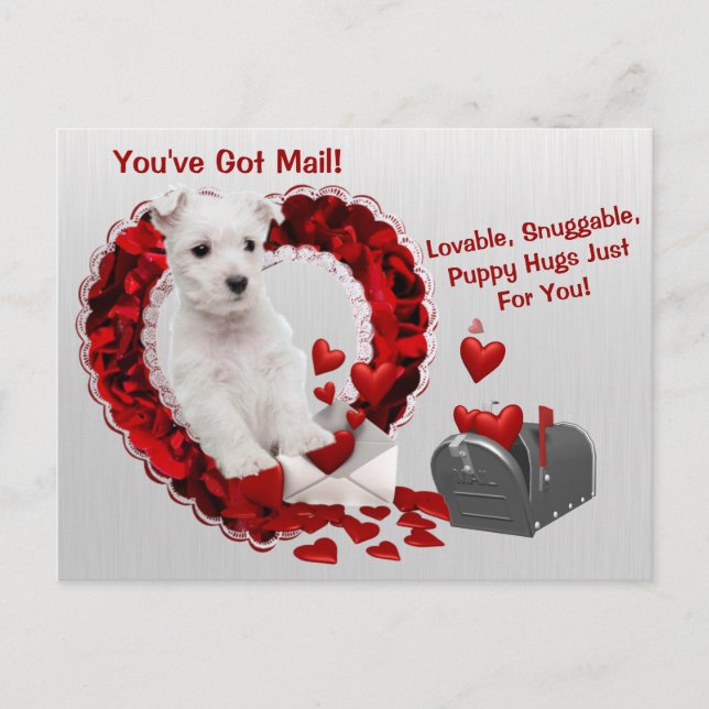 Westie Cute Du har Har Mail Puppy Hugs Valentine Helg Vykort (Framsida)