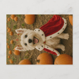 Westie-drottning på Halloween Vykort