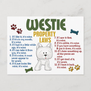 Westie Egendoms Lagar 4 Vykort