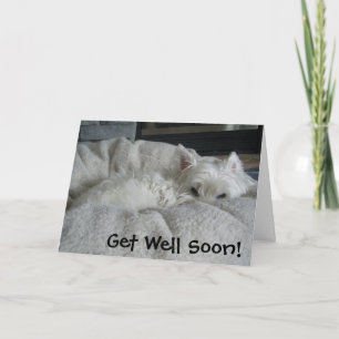 Westie får det väl snart fotohälsningkortet kort