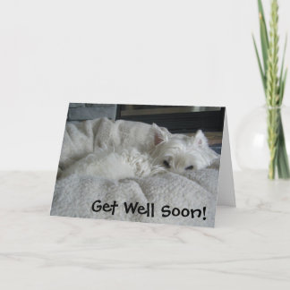 Westie får det väl snart fotohälsningkortet kort