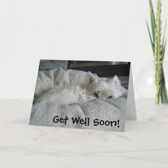 Westie får det väl snart fotohälsningkortet kort (Framsida)