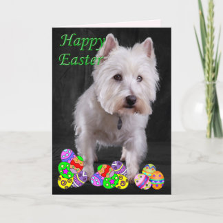 Westie glad påsk helgkort